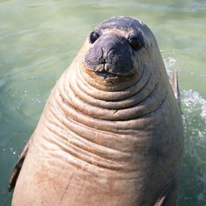 Meet your Posher, Judith